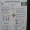 Лучани - Међународни Дан безбедног интернета