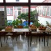 ЗДРАВЉЕ ЈЕ IN, ЦИГАРЕТЕ СУ OUT