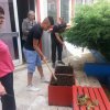 Чишћење дворишта