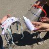 Извештај о спроведеној акцији дељења маски, дезинфекционих средстава и визира у Гучи 