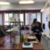 СПОРТСКО ПРОЛЕЋЕ У НАШОЈ ШКОЛИ !