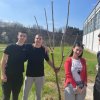 Засади дрво 2024.