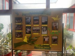 Квиз знања 2026.