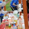 ,,МАГИЈА И(ли)ХЕМИЈА“