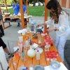 ,,МАГИЈА И(ли)ХЕМИЈА“
