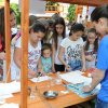 ,,МАГИЈА И(ли)ХЕМИЈА“