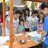 ,,МАГИЈА И(ли)ХЕМИЈА“